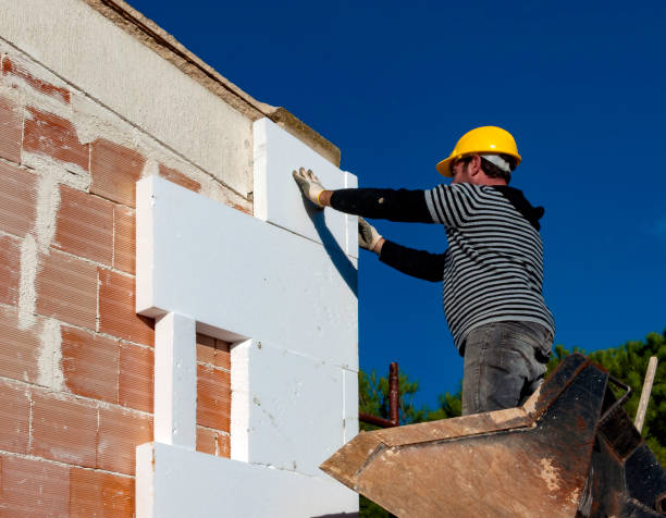 Best Geographic-Specific Insulation Services in Petersburg, IL