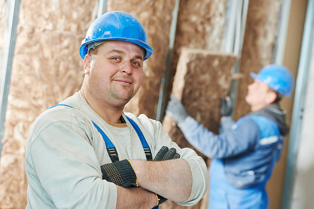Best Insulation Maintenance and Repair in Petersburg, IL
