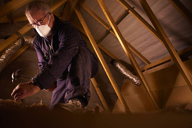 Types of Insulation We Offer in Petersburg, IL