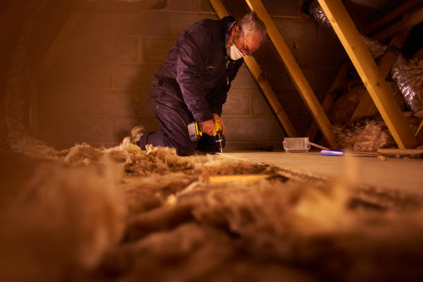 Types of Insulation We Offer in Petersburg, IL